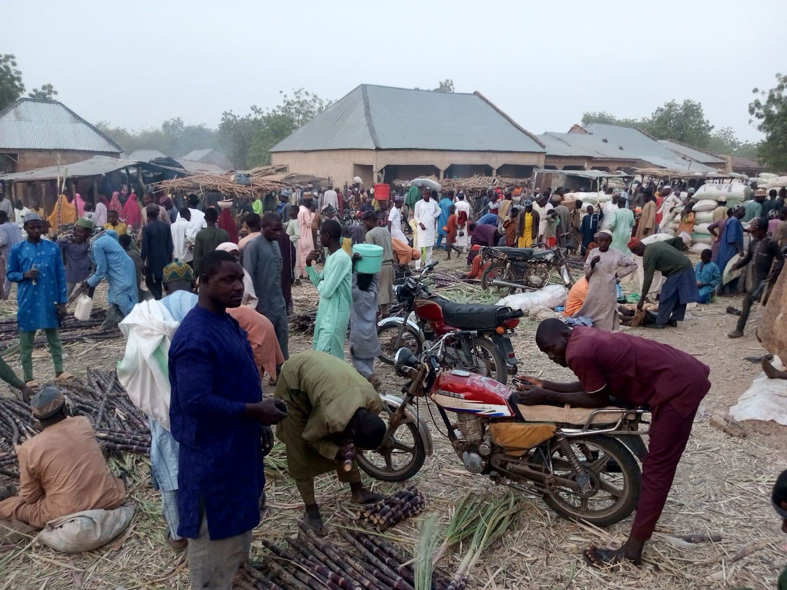 A bustling outdoor market with people shopping, motorbikes parked, and sugarcane on the ground.