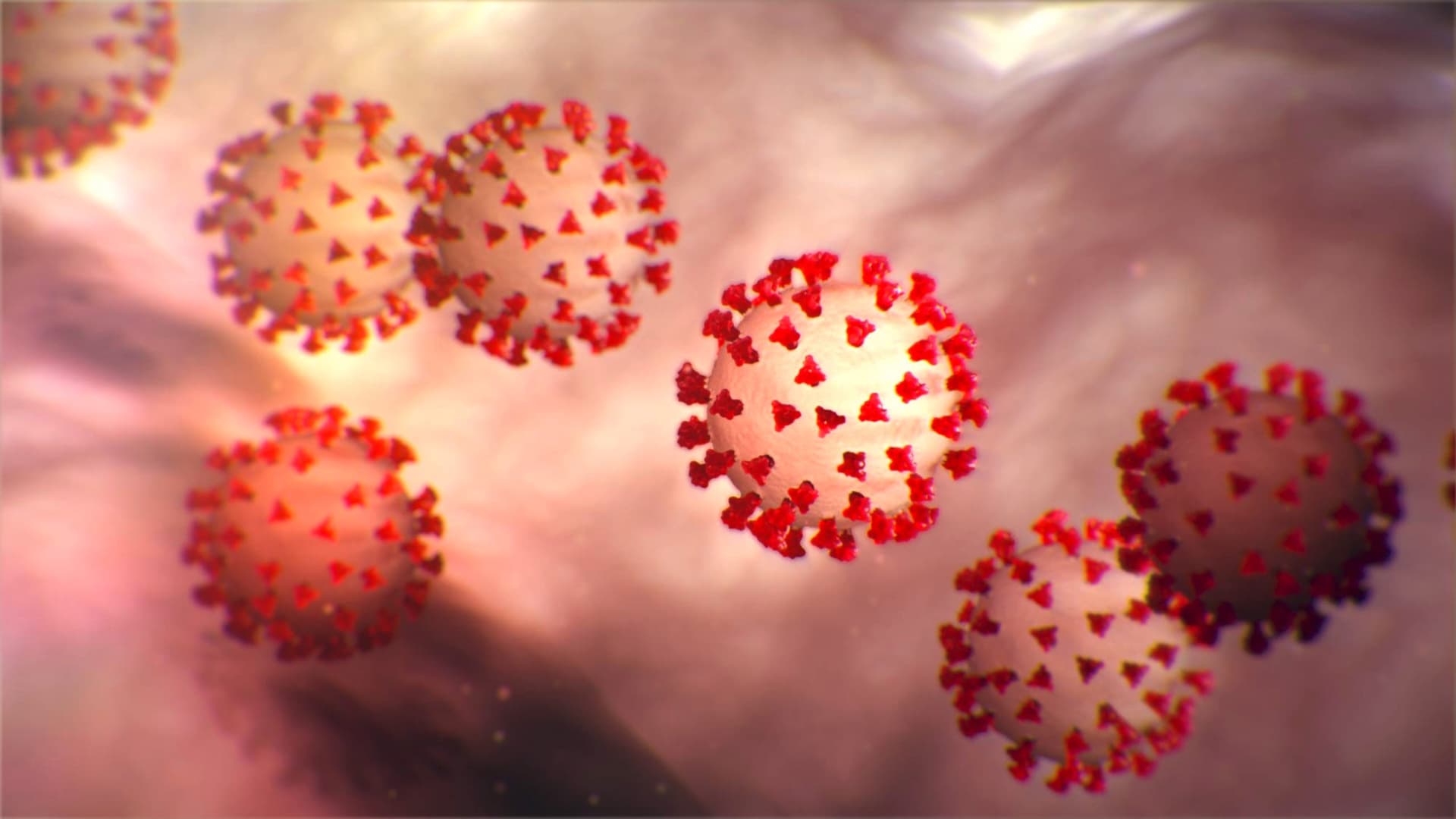 COVID-19: South Africa Coronavirus Deaths Top 10,000