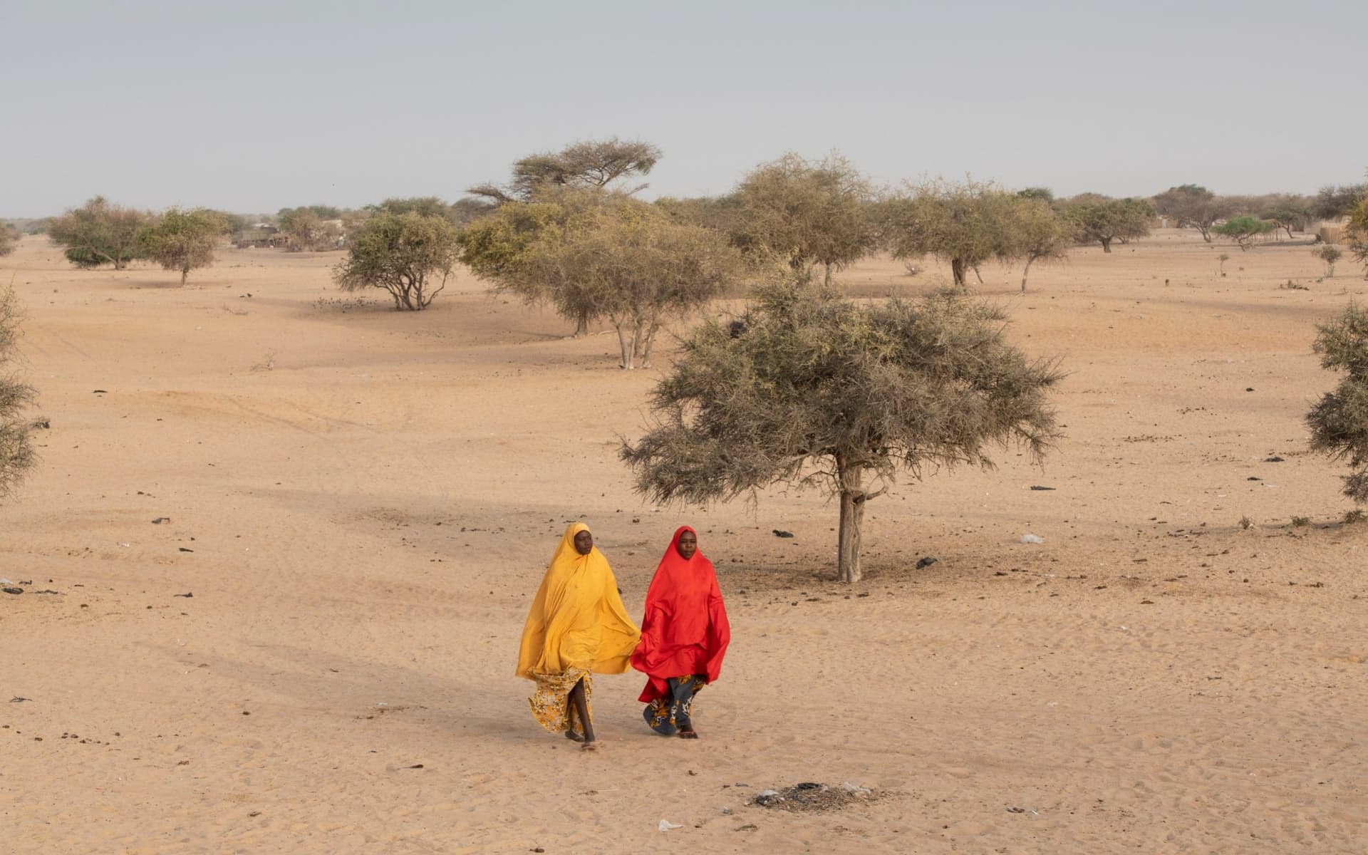 Environmental Preservation Is Affair Of Everyone, Says Chadian Environment Minister