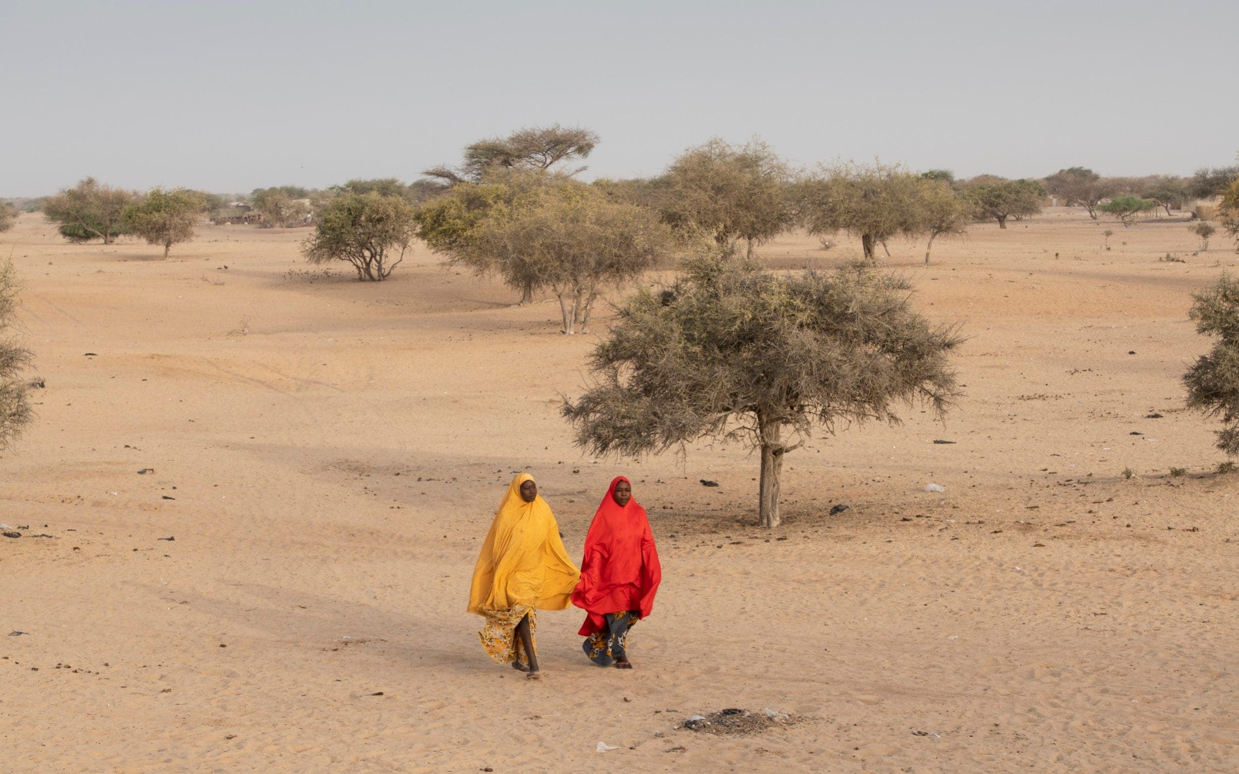 Environmental Preservation Is Affair Of Everyone, Says Chadian Environment Minister