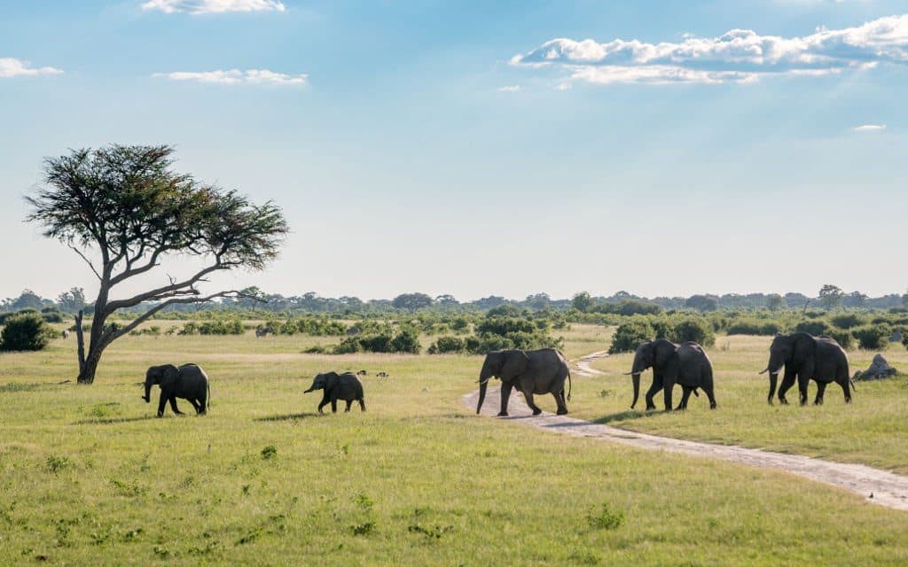 Zimbabwe Bans Mining Activities In National Parks Following Outcry