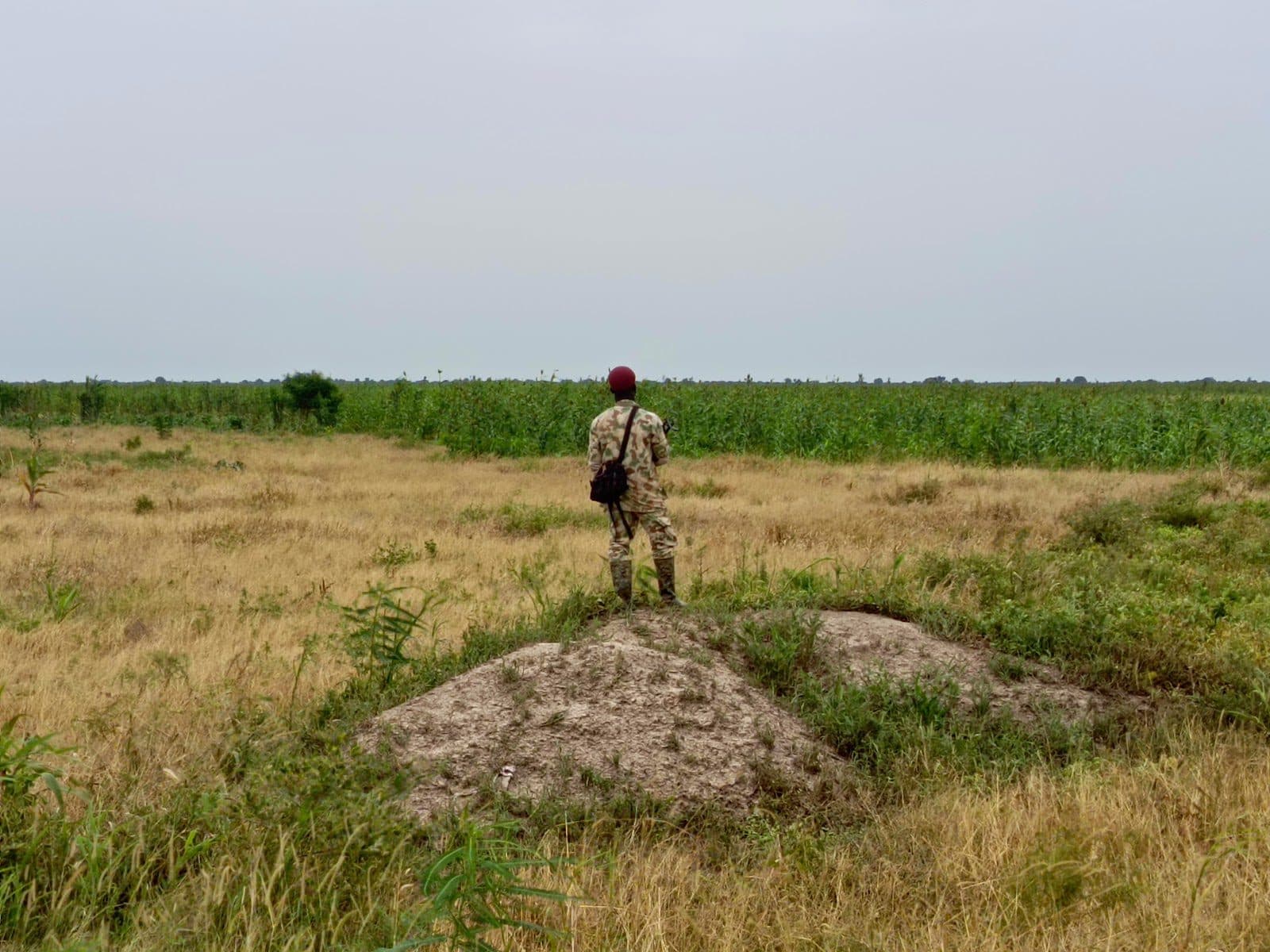 A soldier watches over a farmland in the central part of Borno state.