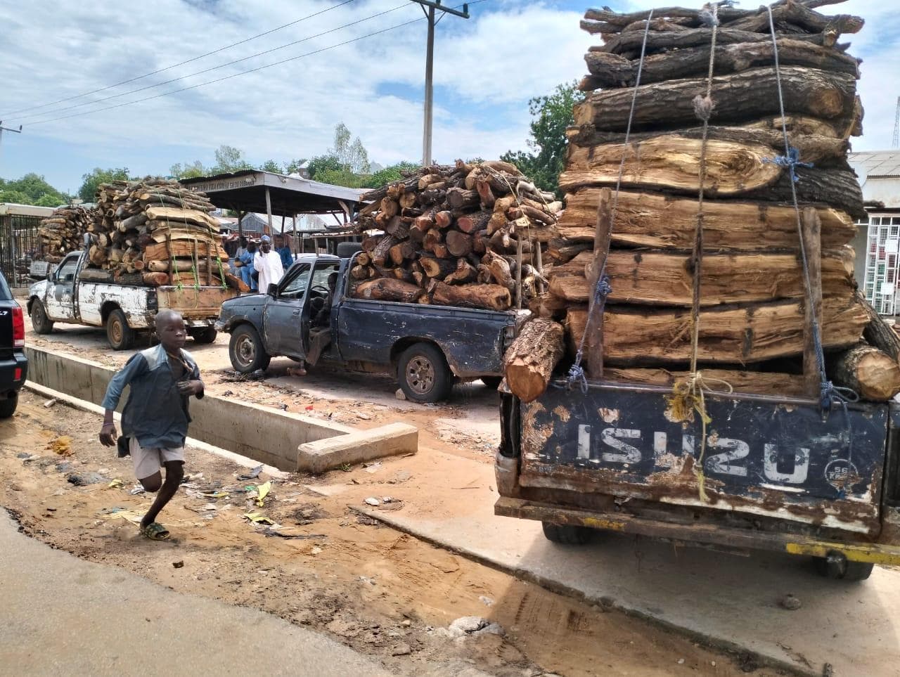 Firewood Park in Vunoklang, Adamawa State.