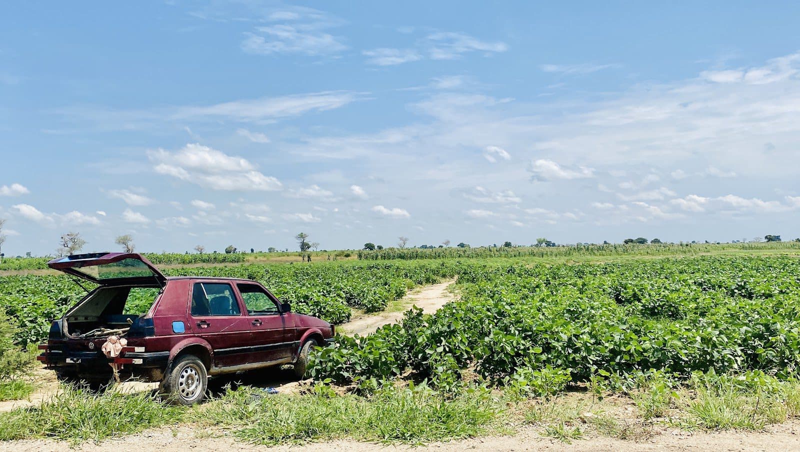 A car believed to belong to an arrested Boko Haram logistics supplier was found near by a roadside farm in Gwoza local government.