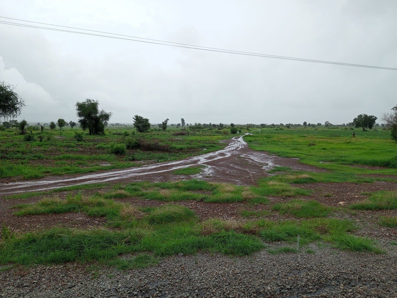 Route to terrorists’ mobile checkpoint in Yargalma village off Bukuyum-Anka highway in Zamfara.