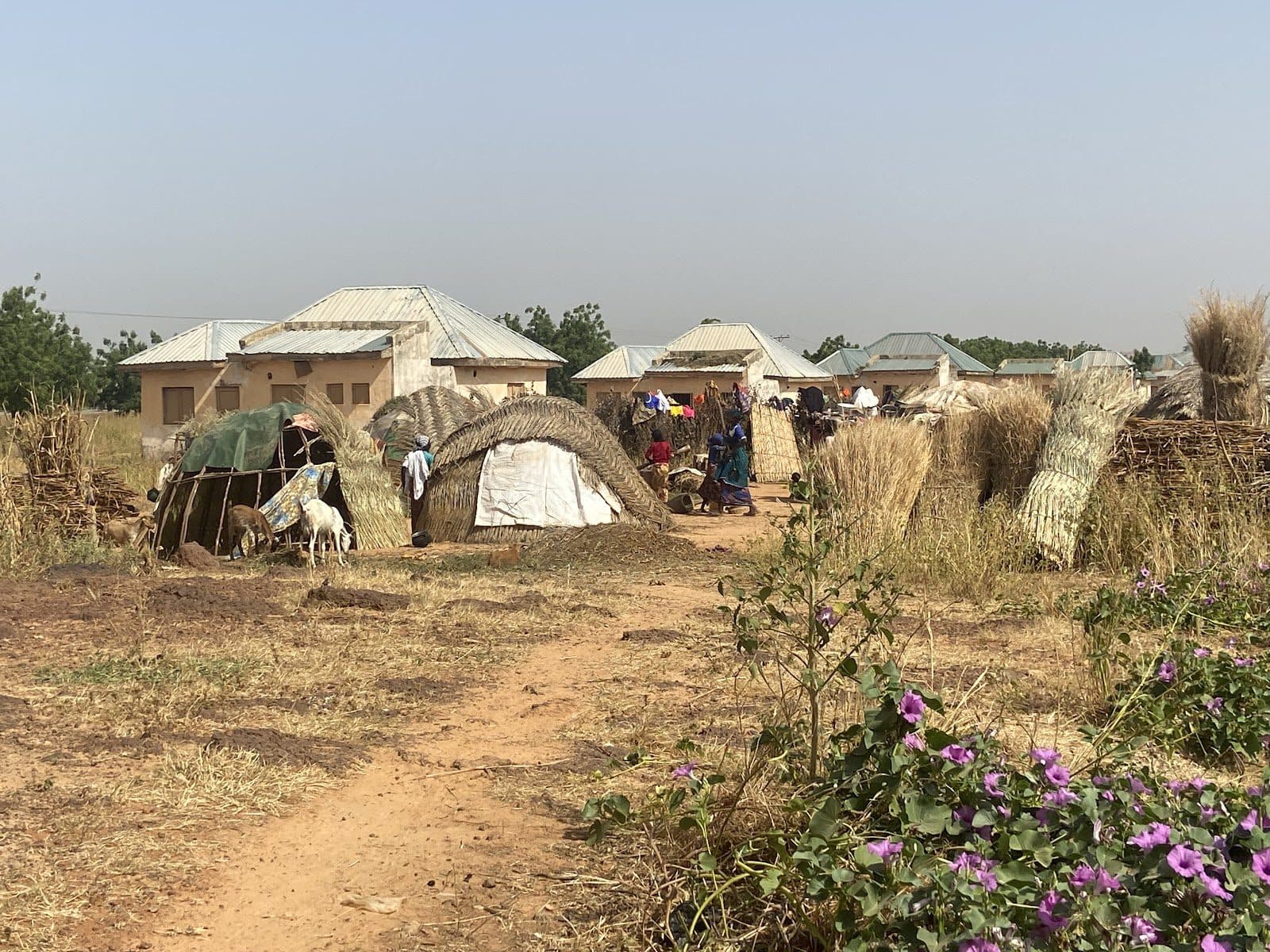 The makeshift shelter IDPs in Goronyo live in as more displaced persons arrive at the camp.