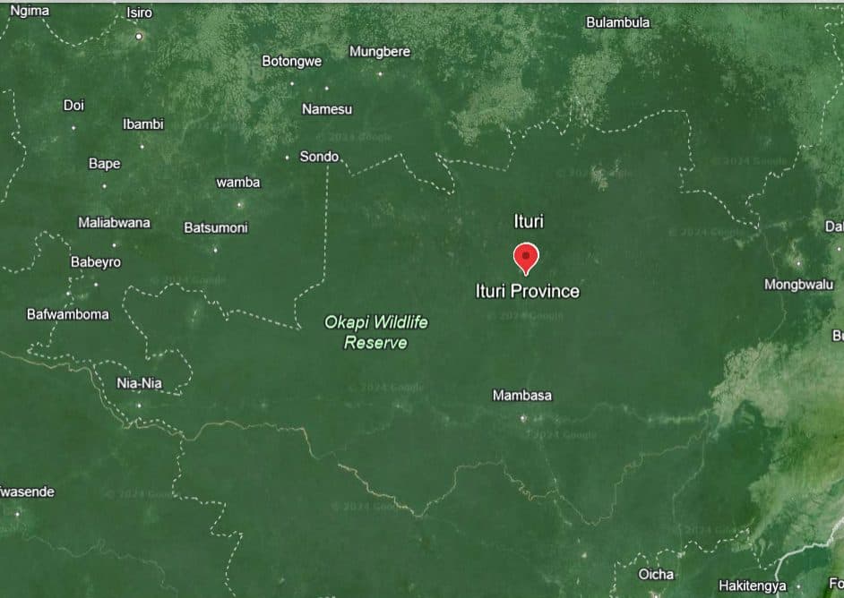 Satellite view of Ituri Province with a marker, near Okapi Wildlife Reserve in a green landscape.
