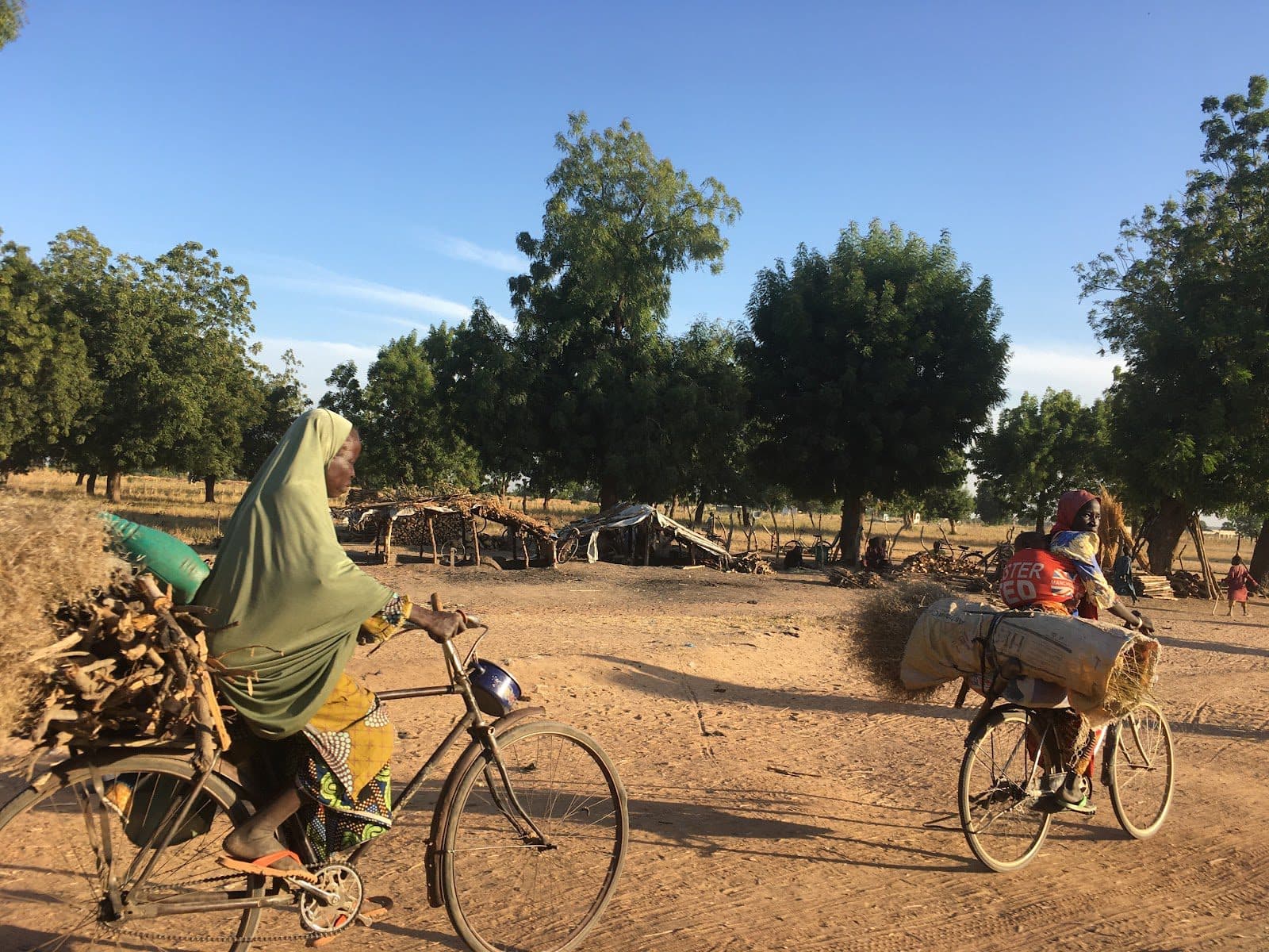 Two people ride bicycles on a dirt path, carrying large bundles of sticks and materials, with trees and small shelters in the background.