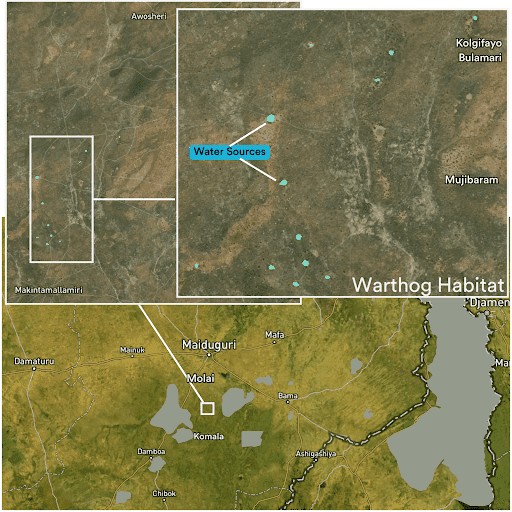 Map showing water sources and warthog habitat near Maiduguri. An inset highlights specific water locations in Makintamala Imiri area.