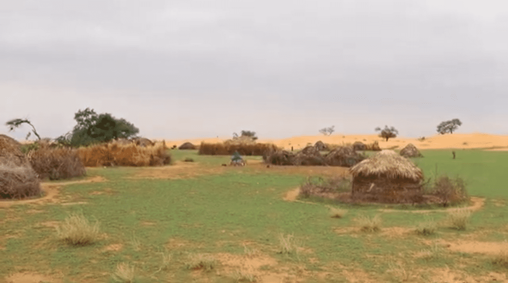 Grass huts on green grassland with sandy hills and scattered trees under a cloudy sky.