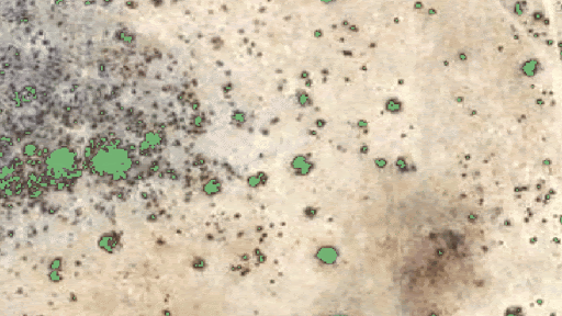 Aerial view of a desert with scattered vegetation and patches of dark soil.
