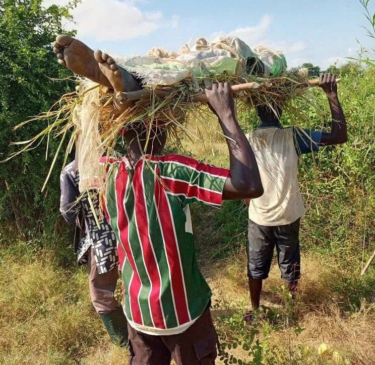 Three people carry a makeshift stretcher through grassy terrain, with a person lying on top covered in hay and cloth.