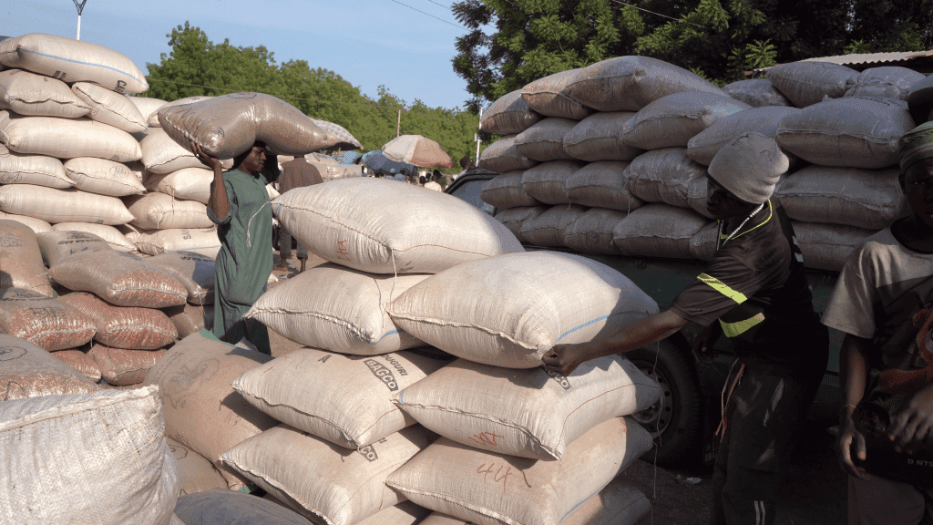 Workers carry large sacks at a busy outdoor market.