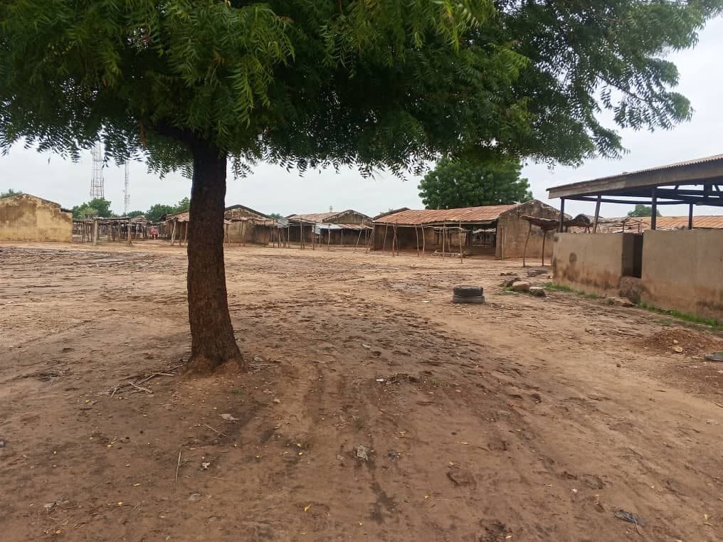 A solitary tree stands in a dusty, empty village square with simple buildings and a cloudy sky in the background.