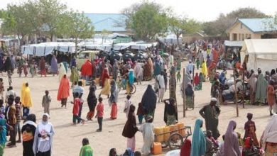 IDP, 2 Others Contract COVID-19 In Borno As Government Vows To Punish 3 Erring Imams