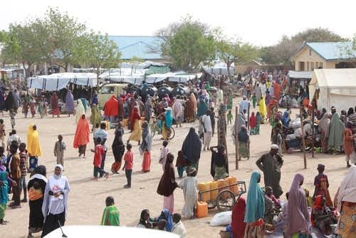 IDP, 2 Others Contract COVID-19 In Borno As Government Vows To Punish 3 Erring Imams