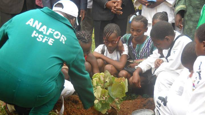 Cameroon Leads The Way In Africa’s Fight Against Climate Change