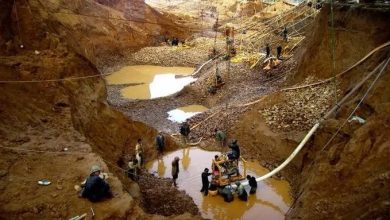 Police Arrest 2 Chinese Illegal Miners In Zamfara