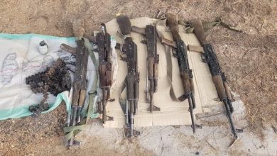 Army Kills 20 Boko-Haram Insurgents In Borno, Recovers Arms