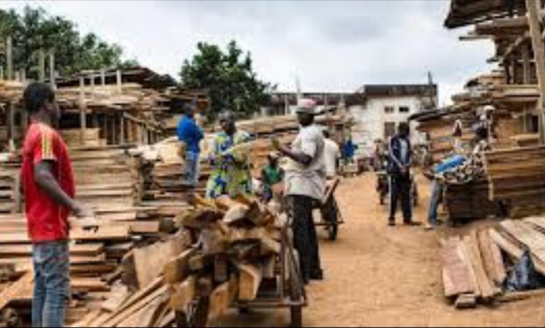 Cameroon and DR Congo Mulls Legalising Artisanal Lumbering To Curb Deforestation