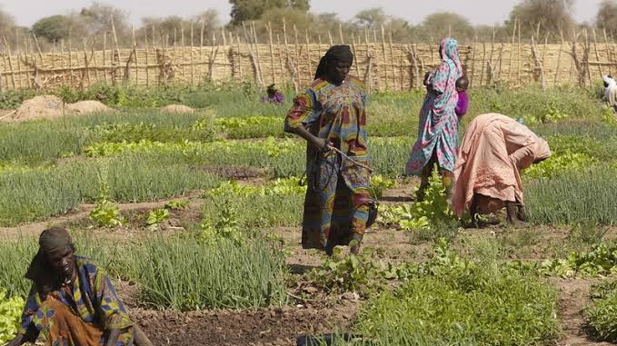 Chad Lifts COVID-19 Restrictions Against Movements Of Farmers