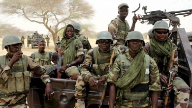 The Multinational Joint Task Force Fighting Insurgents In Lake Chad Basin