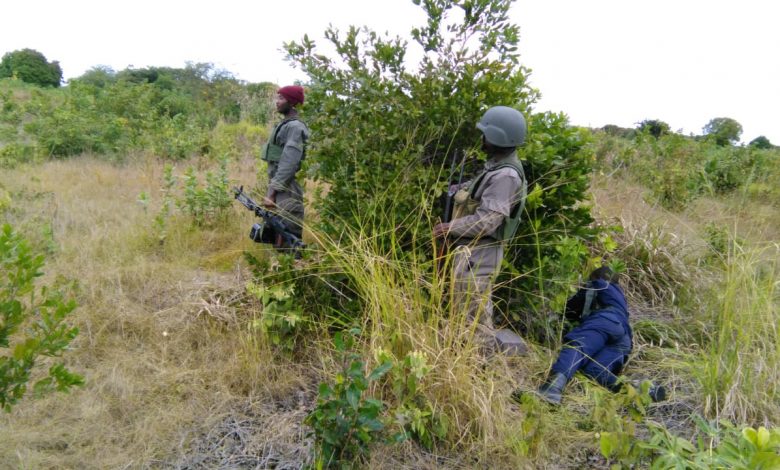 Mozambique In Subdued National Anniversary Amid Worsening Jihadist Insurgency