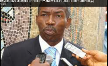 Cameroon Rejects Request Of Tax Relief For Forestry Exploiters