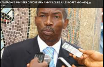 Cameroon Rejects Request Of Tax Relief For Forestry Exploiters