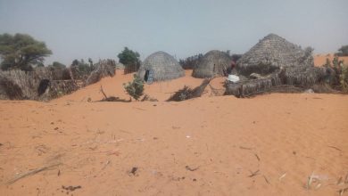 Desertification Threatens Livelihoods In Northern Nigeria