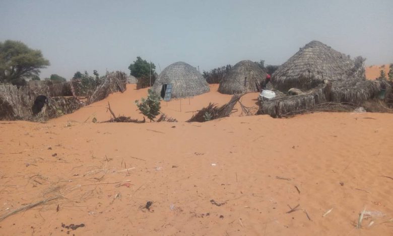 Desertification Threatens Livelihoods In Northern Nigeria