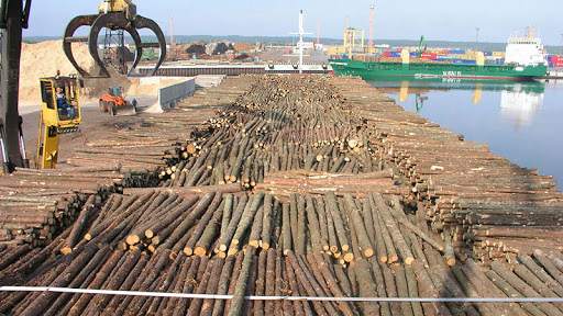 GREENPEACE Calls On Cameroon To Reject Appeal For Tax Reduction By Timber Exploiters