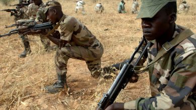 Soldiers From Niger Republic Attack Terrorists In Nigerian Territory