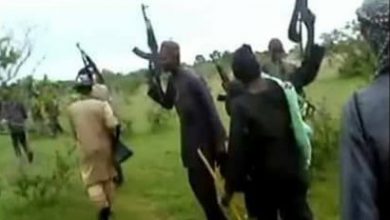 Terrorism: 6 People Including A Pregnant Woman Drown In Katsina