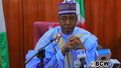 The Numerical Strength Of Troops Fighting Insurgents Is Lean - Gov. Zulum