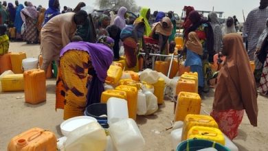 The Untold Story Of Alfindiki Community In Kano