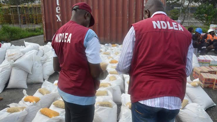 The National Drugs Law Enforcement Agency (NDLEA), Kano State Command, says there has been an increase of drug abuse in the state since the COVID-19 lockdown. The NDLEA Commander, Dr Ibrahim Abdul, stated this when he addressed newsmen on events to mark the 2020 International Day Against Drug Abuse and Illicit Trafficking in Kano on Friday. Abdul said the agency intercepted 7,873,937kg of harmful drugs during the lockdown. He said in May, the command intercepted over 1.2 tonnes of various hard drugs, including 4,374.629kg of psychotropic substances, 87kg of cocaine and eight kilograms of heroin. Abdul also said the command intercepted a vehicle loaded with compressed cannabis weighing 283kg in Wudil on transit to Bauchi State and another vehicle caught on Kano to Zaria Road conveying 300 blocks of compressed cannabis weighing 223kg. He said that from June, 2019, up to date, the agency had arrested 565 suspects, including 16 females in Kano, and secured conviction of 85, while six cases were still pending at Federal High Court, Kano. The commander, said the agency lacked adequate manpower, logistics, facilities and materials to accommodate addicts who required counseling and rehabilitation. “Worthy to note is the fact that a syndicate of barons dealing in cocaine was uncovered by our team, where male and female suspects were apprehended with cocaine weighing 100gm. ``During the period under review, 34 regular clients were counseled and rehabilitated, while 723 suspects were referred for brief intervention,” Abdul said. The NDLEA boss identified lack of adequate manpower, shortage of logistics, inadequate facilities to accommodate addicts that required counseling and rehabilitation as some of the challenges facing the agency in the state