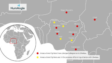 Areas where fighters have pledged allegiance to Shekau
