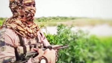 Boko Haram Releases New Video, Confirmed Link with Terror Groups in Niger State