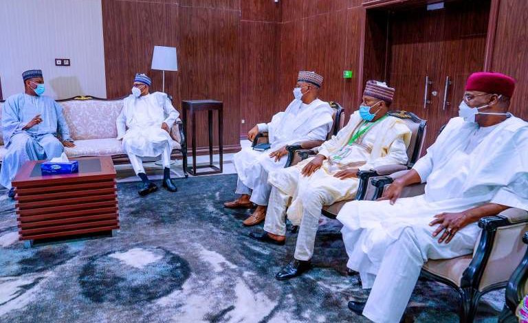 Buhari, Other ECOWAS Leaders Fail to End Crisis in Mali