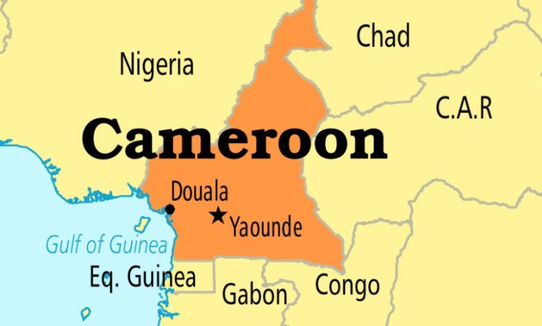 Cameroon, Equatorial Guinea Meet Again Over Border Wall Clashes