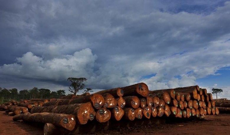 Gabon Forestry Workers President Arrested As Ministry Is Accused Of Corruption