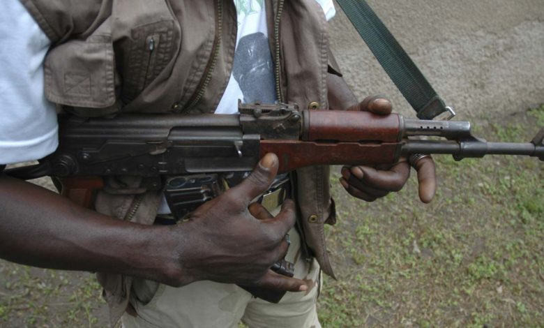 Gunmen Invade Village, Abduct 17 Females, Including 6-Month-Old Baby Girl