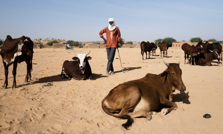 ICRC: Triple Emergencies As Lake Chad Herders Battle COVID-19, Violence and Climate Change