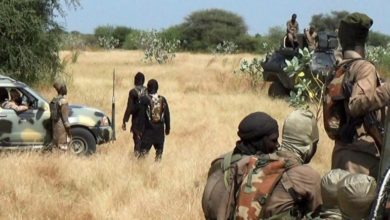 ISWAP Conducts Twin attacks In Borno
