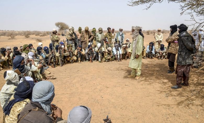 Niger Republic-Based Jihadists Terrorising Local Armed Groups In Zamfara, Seize Arms, Re-loot Livestock - Sources