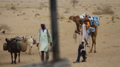 UNSC Holds Debate On Climate Security, As Lake Chad Battles Climate Crisis