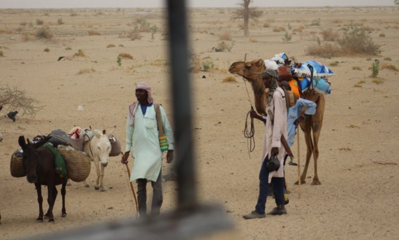 UNSC Holds Debate On Climate Security, As Lake Chad Battles Climate Crisis