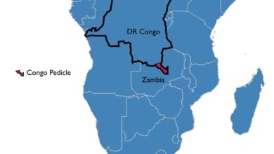 Zambian Army Given 7 Days To Quit Democratic Republic Of Congo