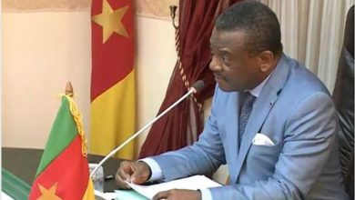 Cameroon's State Control Minister Opposes Audit Of COVID-19 Funds BY Supreme Court